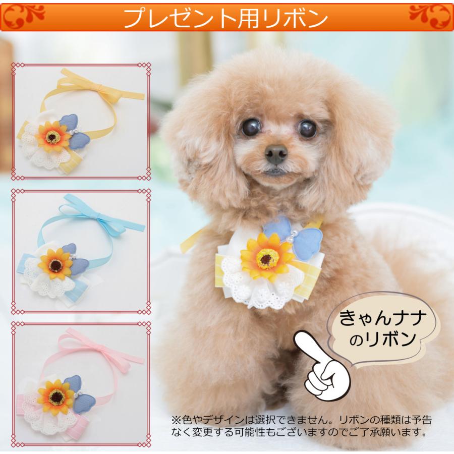 犬 猫 ペット シャンプー 高級 香り ラファンシーズ スーパーナチュラル リンス 0ml 弱酸性 Ph5前後 子犬 子猫 敏感肌 無香料 プレゼント付き Lafancys Rinse Sntr 0 ルクルネット 通販 Yahoo ショッピング