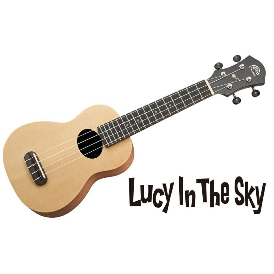 LP CP265C CP 12 MTD CONGA HEAD コンガヘッド