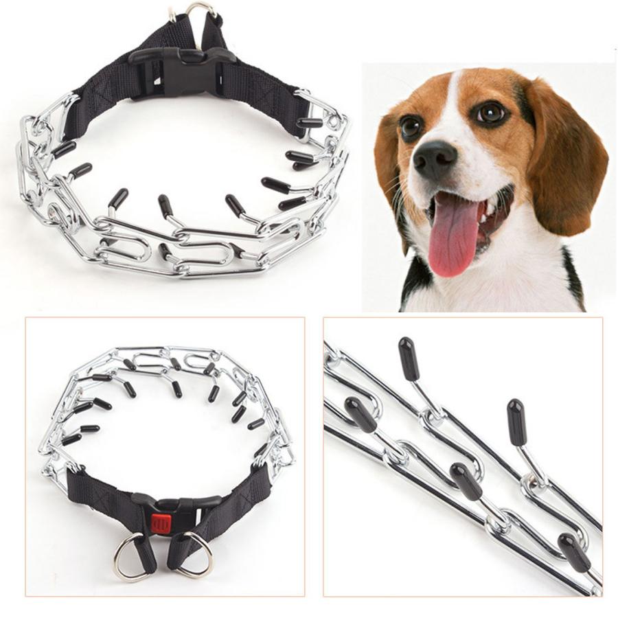 堅実な究極の 送料無料 ゴム付きの犬のトレーニング カラーヒント ピット ピンチカラーペット用品 Lp 025 Aynaelda Com