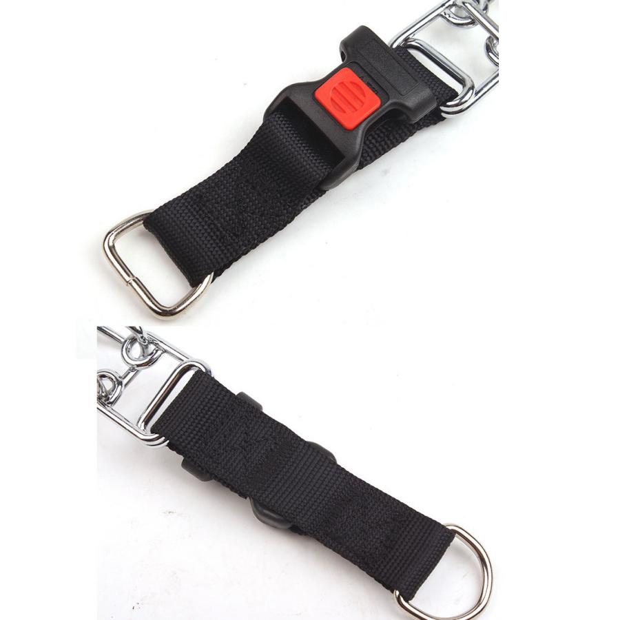 ハームスプレンガー しつけ用首輪 引っ張り防止 スパイク