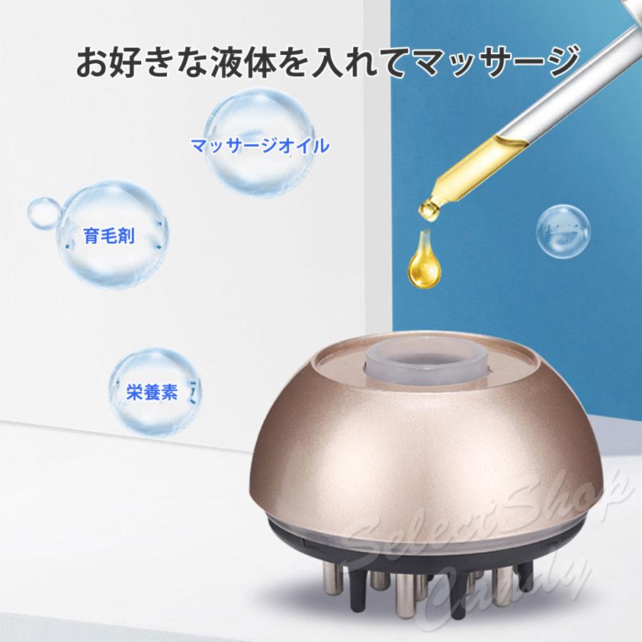 ルメント　ヘッドマッサージ　ヘッドスパ EMSヘッドスパ / Le ment(ルメント)(その他美容家電, 美容家電