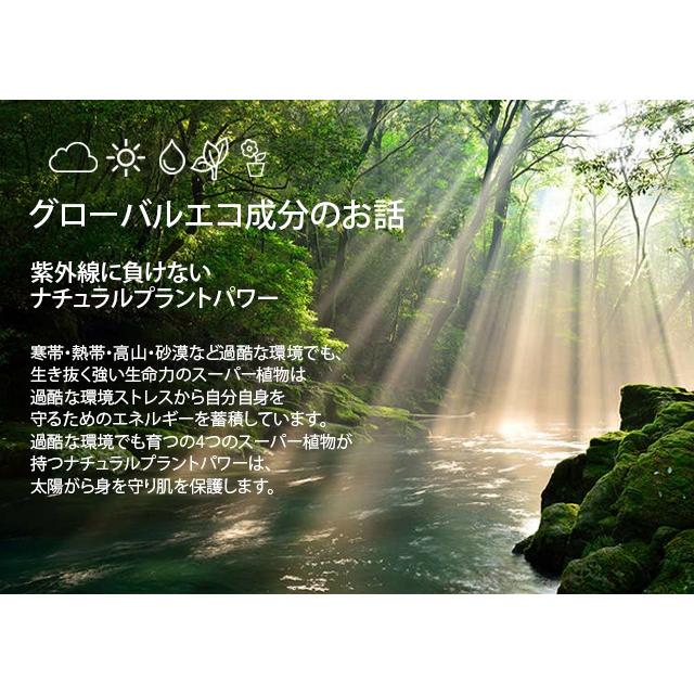 the SAEM（ザセム） 【ポイント5倍UP】韓国コスメ サンクリーム サン