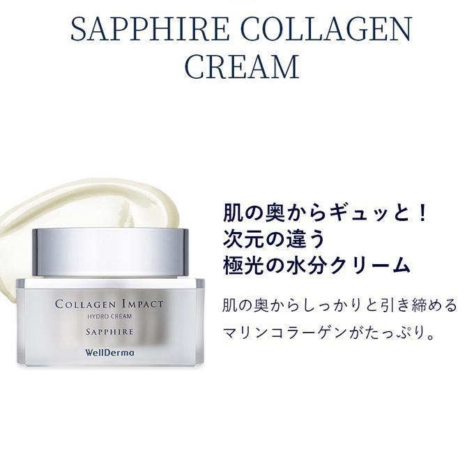 ポイント5倍UP】韓国コスメ スキンケアセット WellDerma ウェル