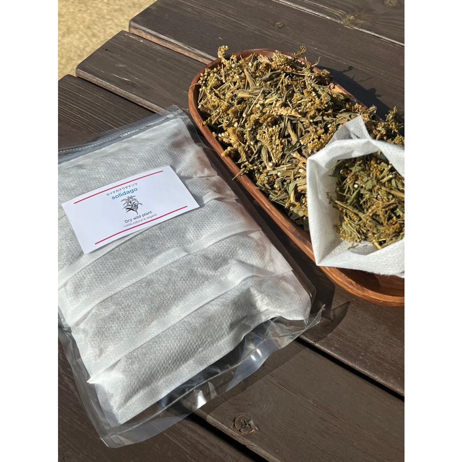 セイタカアワダチソウ 20g×5個入 : ludus shop Yahoo!店