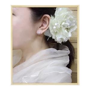 ダイヤモンドピアス【完全無色透明Fカラー・高級仕様】K18YG PG WG