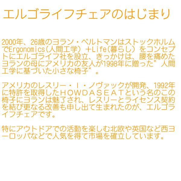 ERGOLIFE エルゴライフチェア （携帯イス、キャンプ）ギフト) : 正規