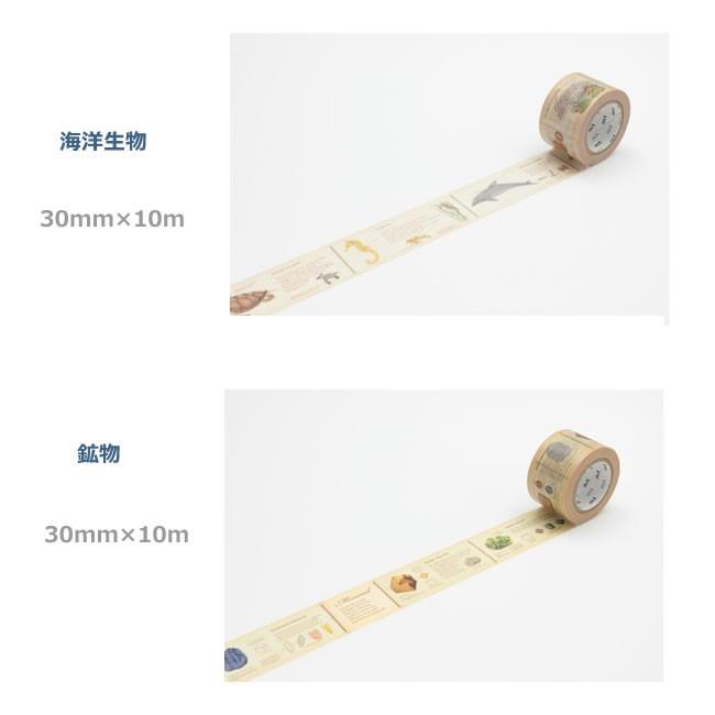 マスキングテープ② カモイ　35+4 美品 楽天市場】マスキングテープ mt カモ井加工紙 mt ex 1巻 世界の