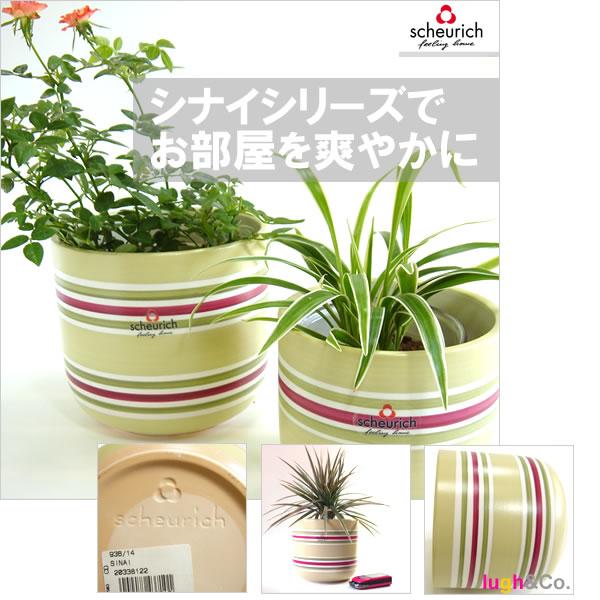 5号用　ドイツ　シューリッヒ(scheurich)社 鉢カバー(プラントカバー)　シナイ　（観葉植物、ハイドロカルチャー） |  | 01