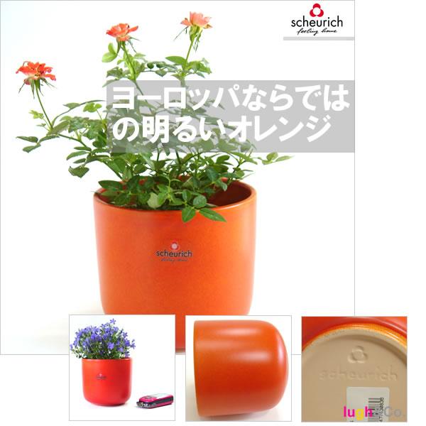 4号用　ドイツ　シューリッヒ(scheurich)社 鉢カバー(プラントカバー)　ピーチ　（観葉植物、ハイドロカルチャー） |  | 01