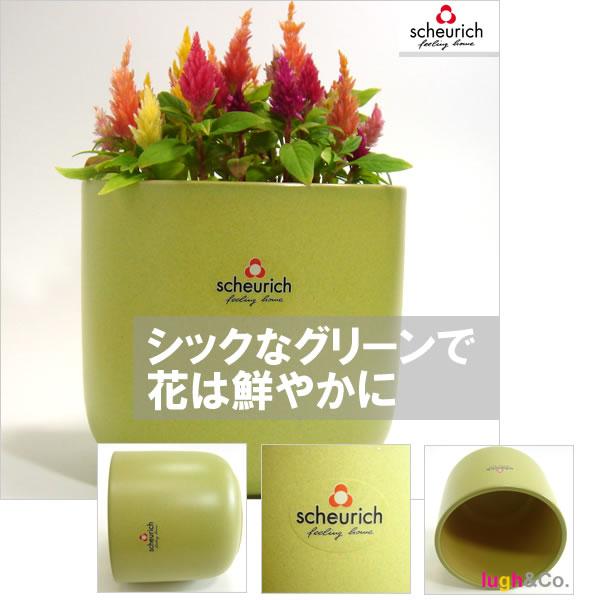 5号用　ドイツ　シューリッヒ(scheurich)社 鉢カバー(プラントカバー)　グレープ　（観葉植物、ハイドロカルチャー） |  | 01