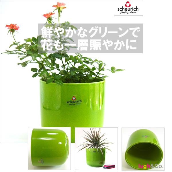 5号用　ドイツ　シューリッヒ(scheurich)社 鉢カバー(プラントカバー)　キウィ　（観葉植物、ハイドロカルチャー） |  | 01