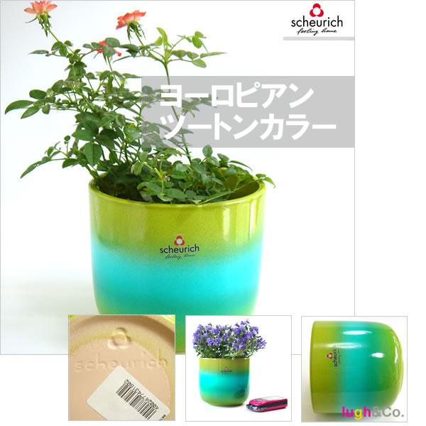 4号用　ドイツ　シューリッヒ(scheurich)社 鉢カバー(プラントカバー)　コリブリ　（観葉植物、ハイドロカルチャー） |  | 01