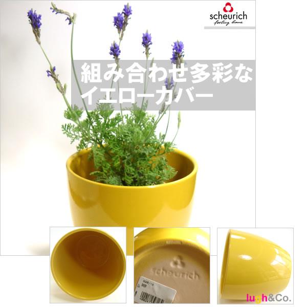 5号用　ドイツ　シューリッヒ(scheurich)社 鉢カバー(プラントカバー)　オカー　（観葉植物、ハイドロカルチャー） |  | 01