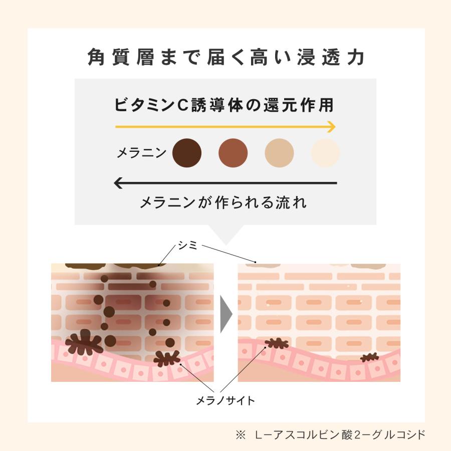 化粧水 美白 保湿 大容量 敏感肌 ビタミンC誘導体 薬用 医薬部外品 抗炎症 毛穴 プリュVC ホワイトニングローション 200ml ポイント利用 | PLuS（コスメ） | 04
