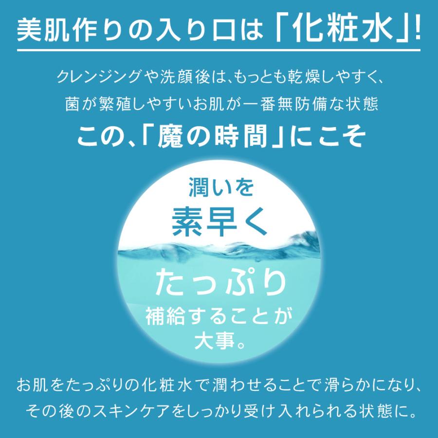 +9% 化粧水 保湿化粧水 大容量 無添加 セラミド配合 ボトル [PLuS/プリュ] うるおい シルクローション 300ml [ボトルタイプ]｜luire｜04