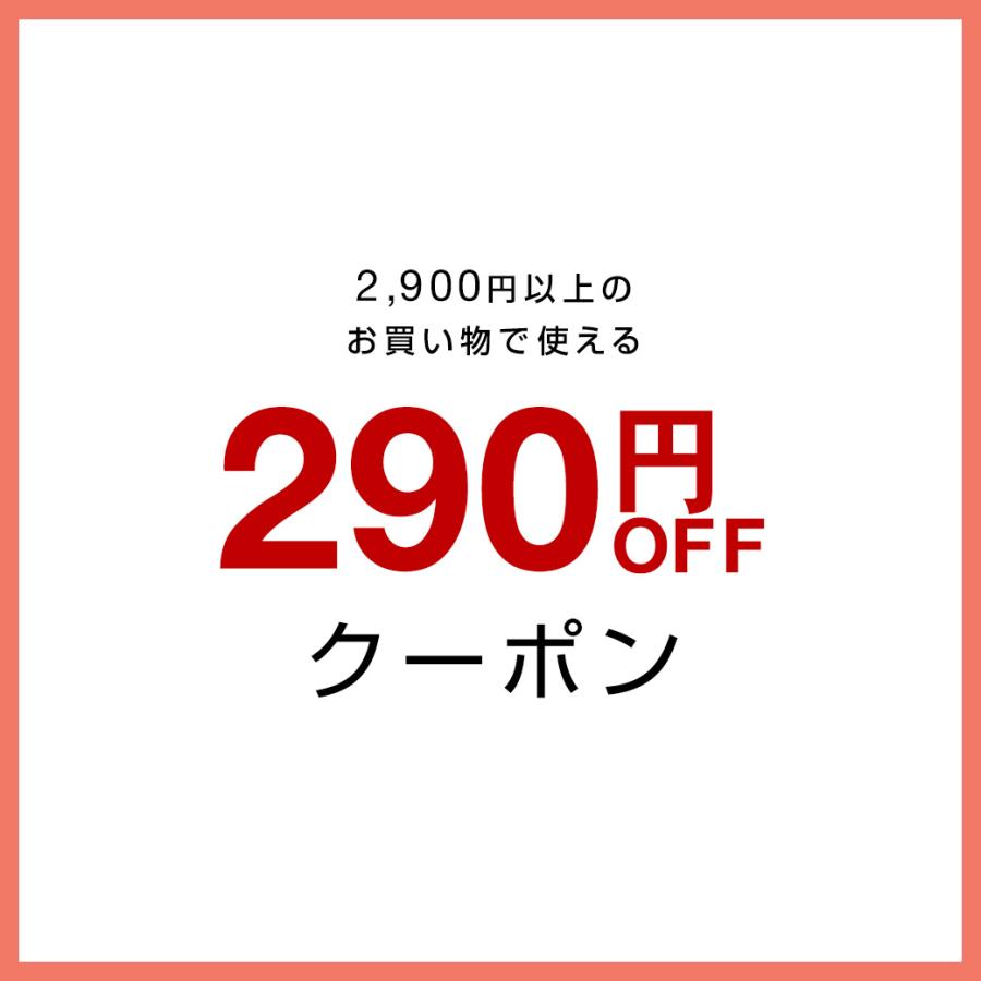 29％OFF 290円OFFクーポン クレンジングオイル 洗顔ソープ スキンケアセット [PLuS/プリュ] クレンジング 洗顔セット｜luire｜03