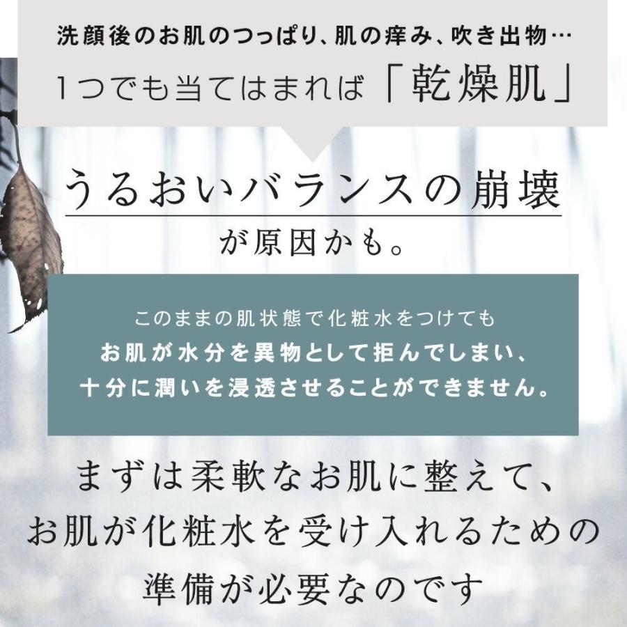 化粧水 乳液 セット スキンケアセット 詰め替え [PLuS/プリュ] うるおい化粧水ミルクセット 各500ml [パウチタイプ]｜luire｜05