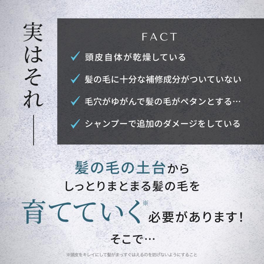 公式】emoc (エモック) レチスパ クリームシャンプー 詰め替え パウチ