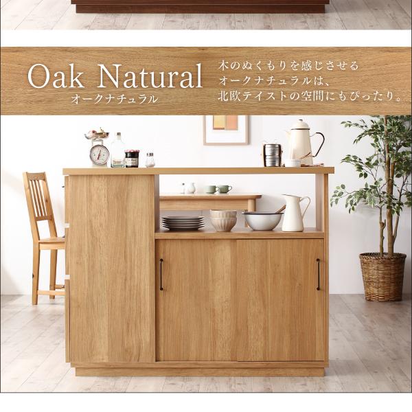 現品発送 日本製 キッチンカウンター 〔幅120×奥行40×高さ93cm〕 両面から収納できる間仕切り 完成品 【WSO1122184751】(40015円)