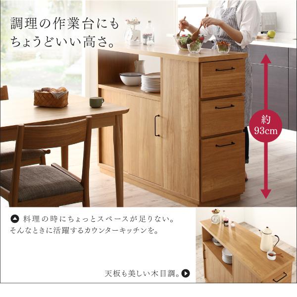 現品発送 日本製 キッチンカウンター 〔幅120×奥行40×高さ93cm〕 両面から収納できる間仕切り 完成品 【WSO1122184751】(40015円)