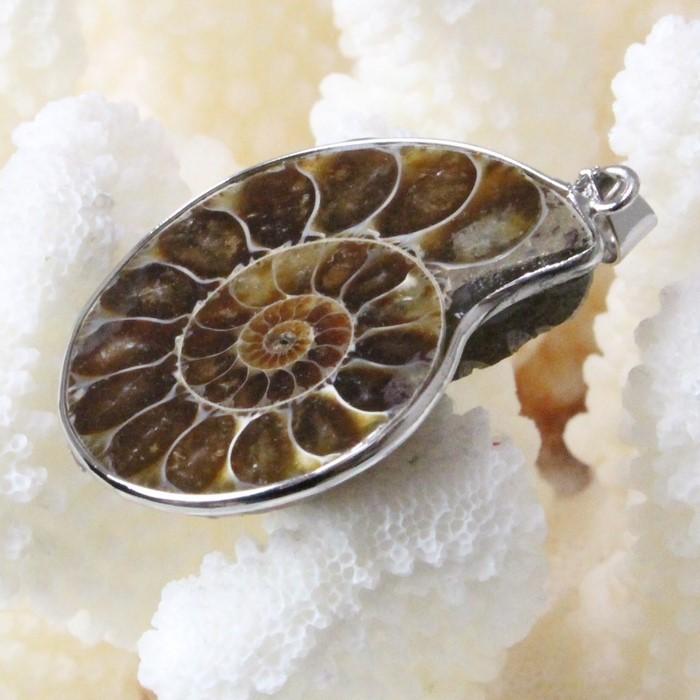 アンモナイト ペンダント ネックレス 化石 菊石 Necklace 天然石