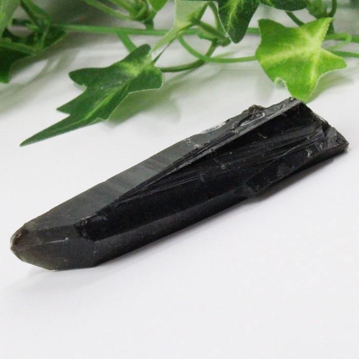 モンゴルモリオン♡ポイント♡最強パワーNo.947 AAAランク】モリオン