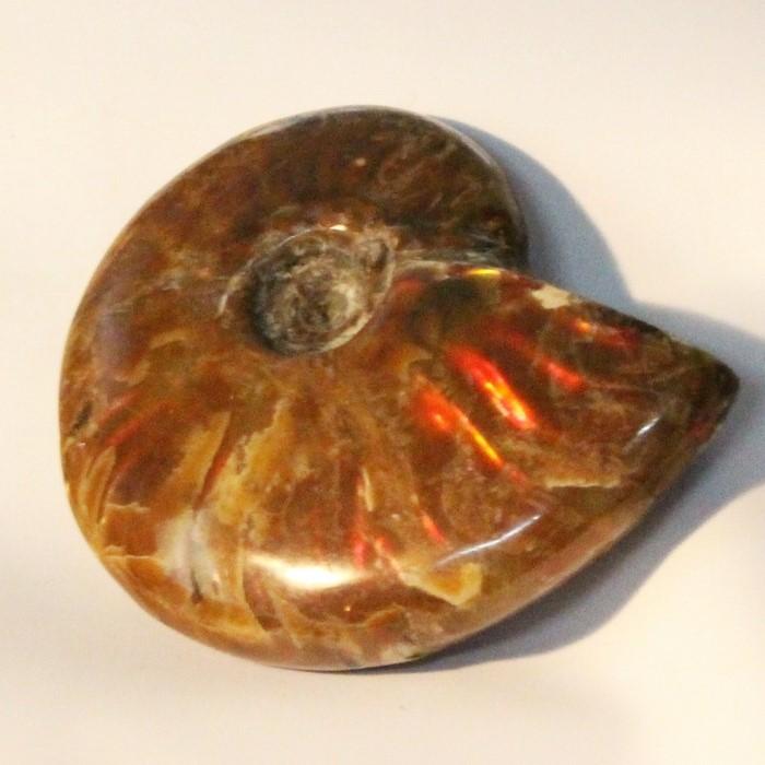 アンモナイト 化石 【品質にこだわった逸品】 アンモナイト化石 虹