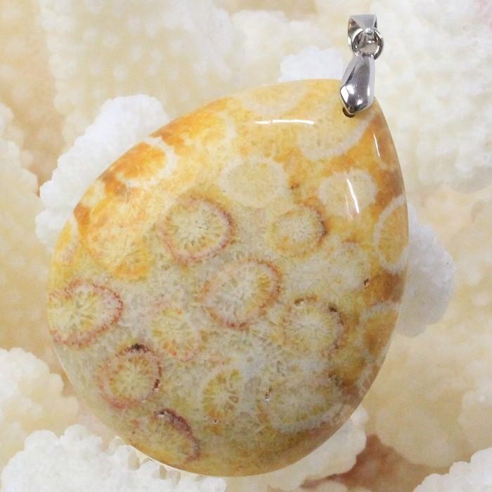 サンゴ 化石 ペンダント 【厳選品質 現物販売】 ネックレス フォシル
