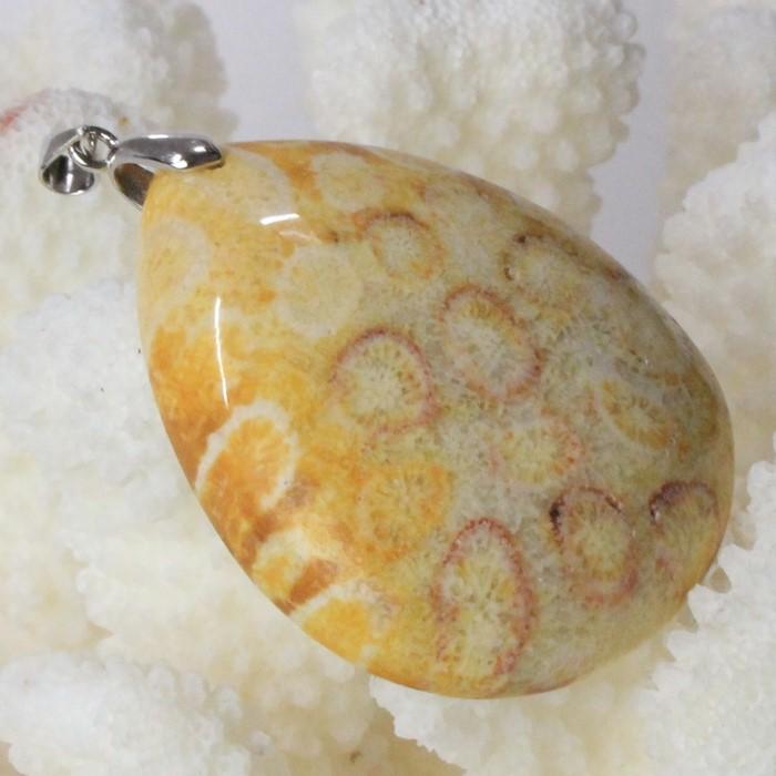 サンゴ 化石 ペンダント 【厳選品質 現物販売】 ネックレス フォシル