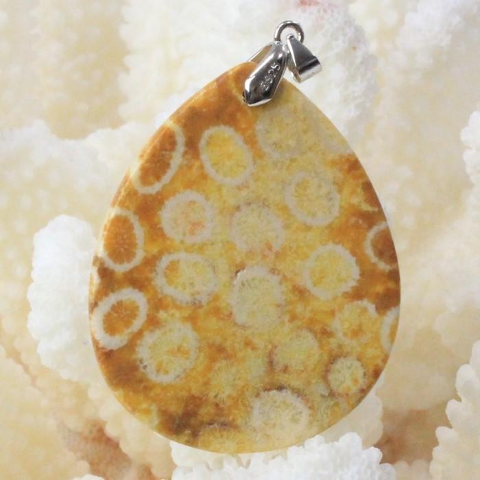 サンゴ 化石 ペンダント 【厳選品質 現物販売】 ネックレス フォシル