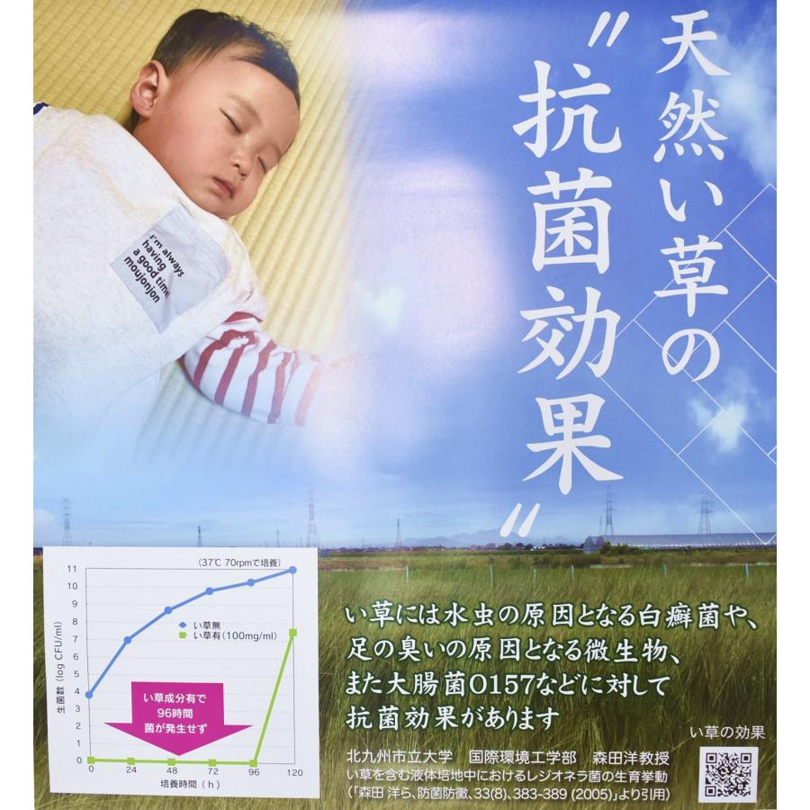 上敷き い草 江戸間 8畳 （瀬戸) (352×352cm) ござ 安い い草