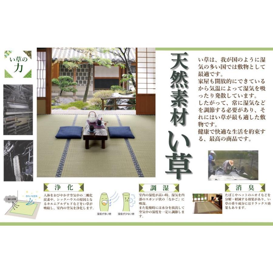 上敷き い草 江戸間 8畳 （瀬戸) (352×352cm) ござ 安い い草