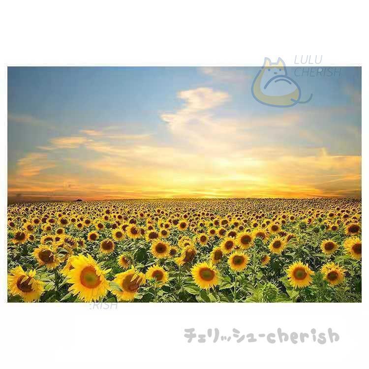 ウォールステッカー 壁紙 シール 風景ステッカー 壁シール インテリア おしゃれ 防水 クリエイティブ装飾 リビングルーム 自粘着式 壁飾り ひまわり 卒業式 Jpw3 Qt チェリッシュ Cherish 通販 Yahoo ショッピング