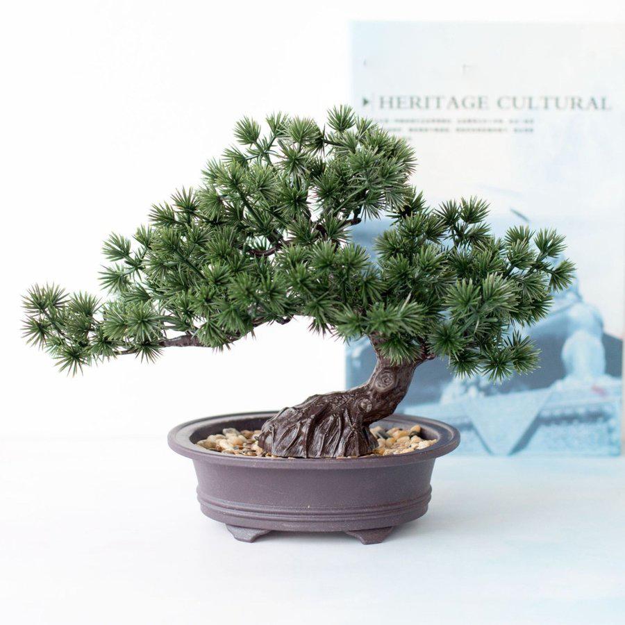 盆栽 フェイクグリーン 人工観葉植物 松葉ヒノキ 庭 机 家の居間 Ssbb 21 5701 チェリッシュ Cherish 通販 Yahoo ショッピング