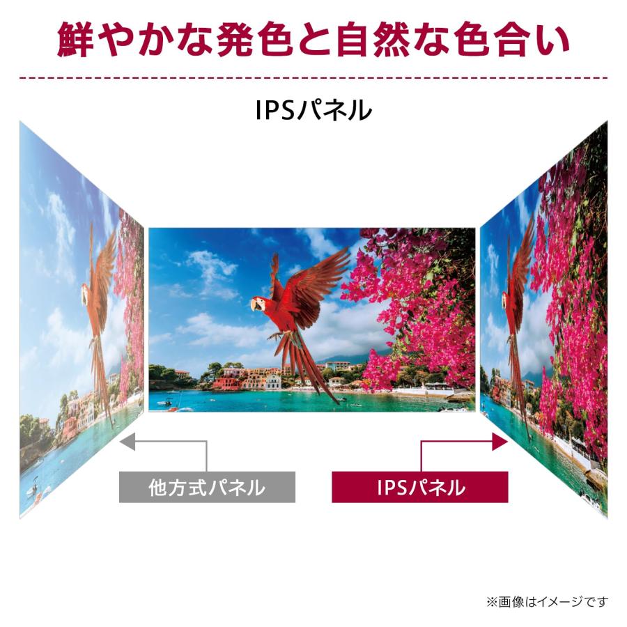 LG モニター 25MS500-B 24.5インチ/アンチグレア/IPS/1920×1080@100Hz