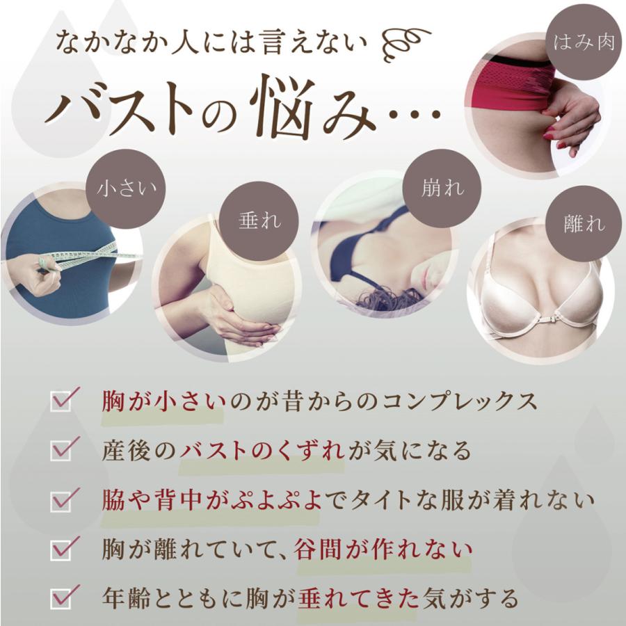 ルルクシェル ナイトブラ くつろぎ育乳ブラ2枚セット バストアップ ノンワイヤー ブラジャー フロントホック 脇高 夜ブラ かわいい レース おしゃれ Kutsurogi Ikunyubra 02 Lulukushel 公式yahoo ショップ 通販 Yahoo ショッピング