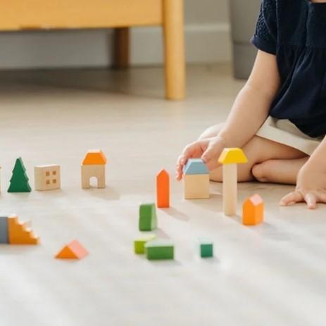 プラントイ（PLANTOYS） カントリーサイドブロック Countryside Blocks