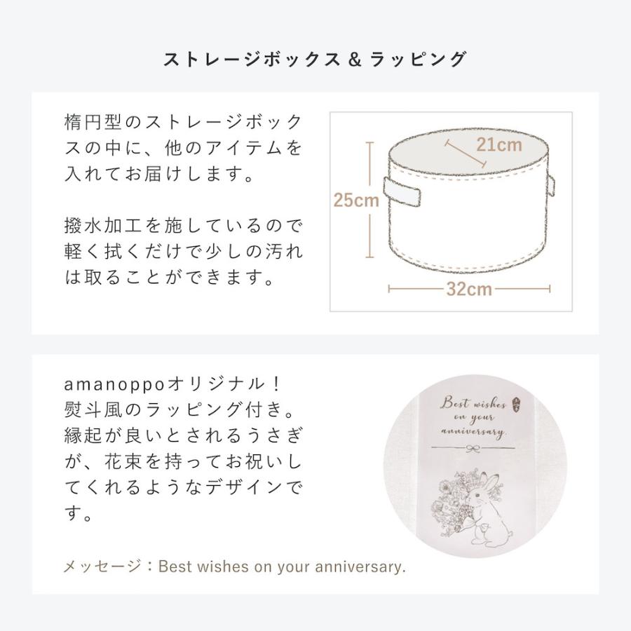 amanoppo 絵本とぬいぐるみセット りすくんの布えほん 出産祝いにおすすめ3点ギフトセット あまのっぽ | ブランド登録なし | 16