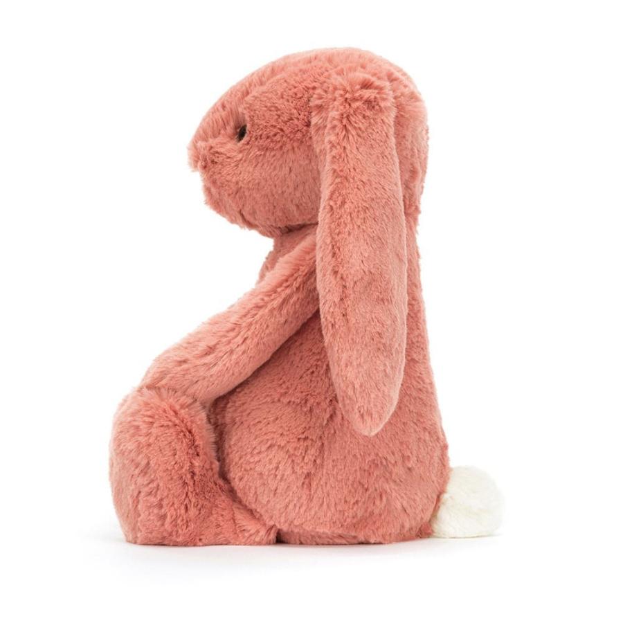 ◆未使用◆Jelly cat ロッティバニー　フェアリー　ぬいぐるみ　完売品 ◇未使用◇Jelly cat ロッティバニー フェアリー ぬいぐるみ 完売品