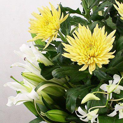 仏事 お供え 花 アナスタシア イエロー イエロー系菊のアレンジメント 04c21 10 0001 ルミエール 通販 Yahoo ショッピング