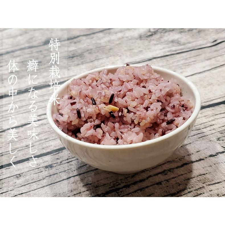 [大特価] 美人玄米 玄米 国産 黒米 玄米 大豆 無洗米 食物繊維 アントシアニン イソフラボン 1kg 10袋 4982466008119 【1901106030】(10264円)