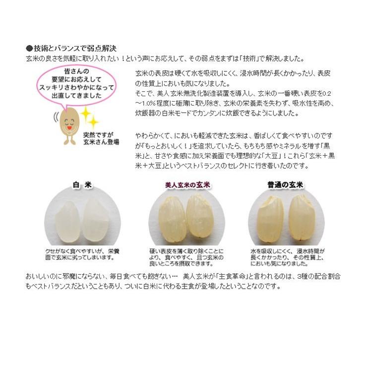 [大特価] 美人玄米 玄米 国産 黒米 玄米 大豆 無洗米 食物繊維 アントシアニン イソフラボン 1kg 10袋 4982466008119 【1901106030】(10264円)