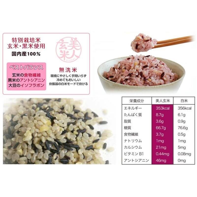 特別栽培米 玄米 黒米を使用 無洗米 美人玄米 黒米入り玄米 1kg