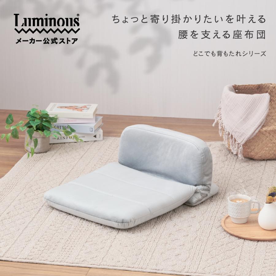 DOSHISHA 背もたれ 座椅子 座布団 コンパクト お尻 クッション