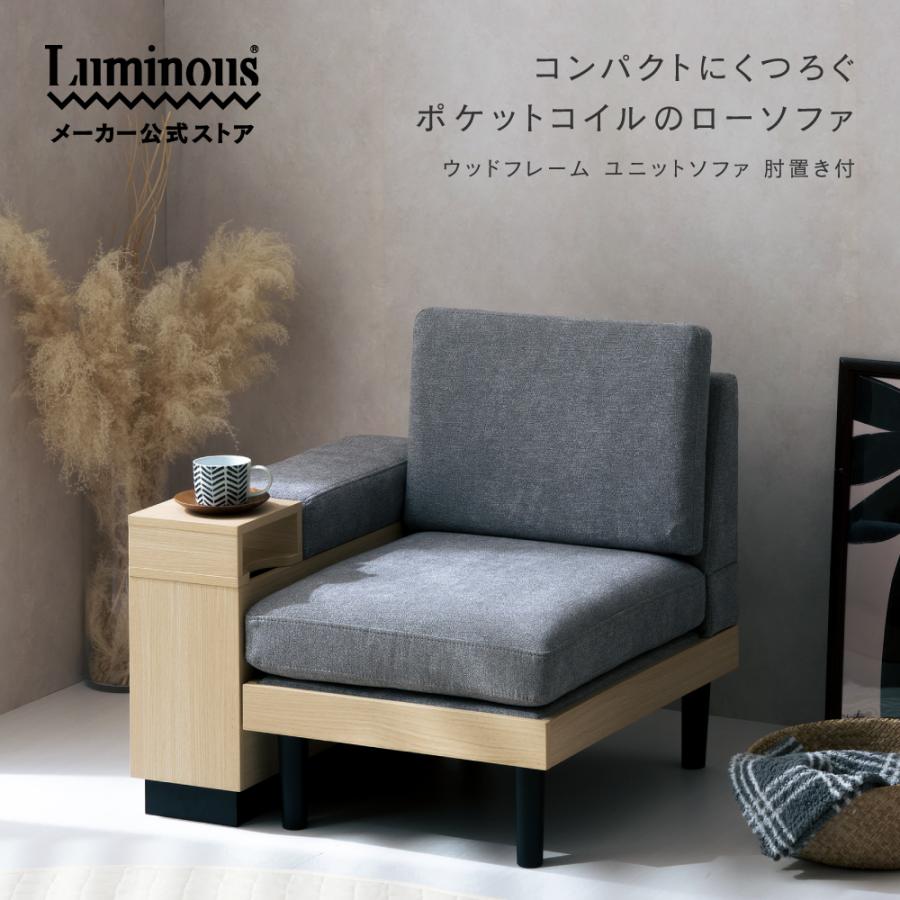 Luminous ソファ 1人掛け ひじ置き付き カウチソファ ローソファ  