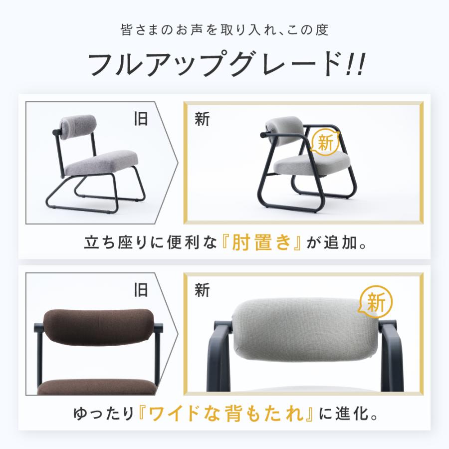 DOSHISHA（ドウシシャ） 【リニューアル】 座椅子 腰が軽くなる