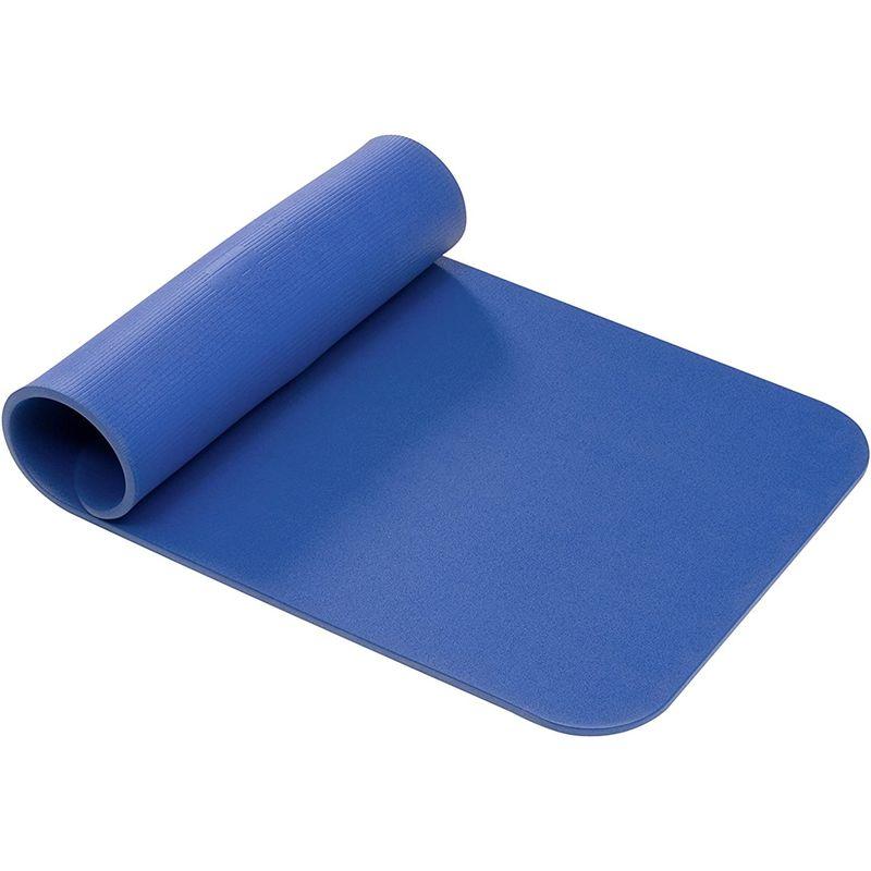 【訳あり品】 AIREX(エアレックス) トレーニングマット フィットネス120 厚さ15mm ブルー FITNESSBL BLUE 120 FITNES 【G1910723049】(10317円)