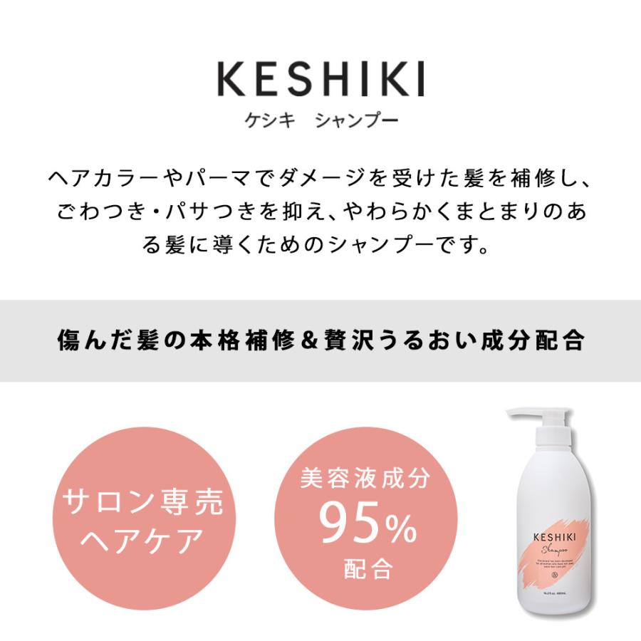 ＆NINE KESHIKI シャンプー＆トリートメントセット サロン 美髪 ツヤ