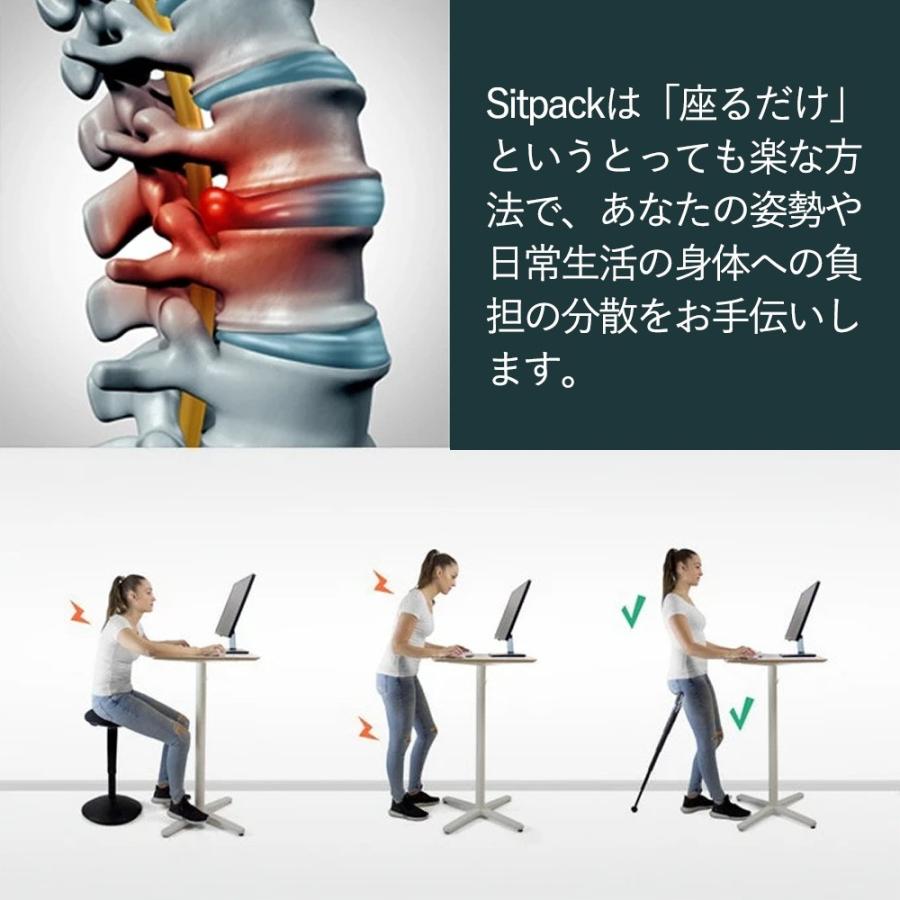 SITPACK ZEN X-IIモデル カーボンファイバー 超軽量 丈夫 SITPACK ZEN X-IIモデル カーボンファイバー 超軽量 丈夫
