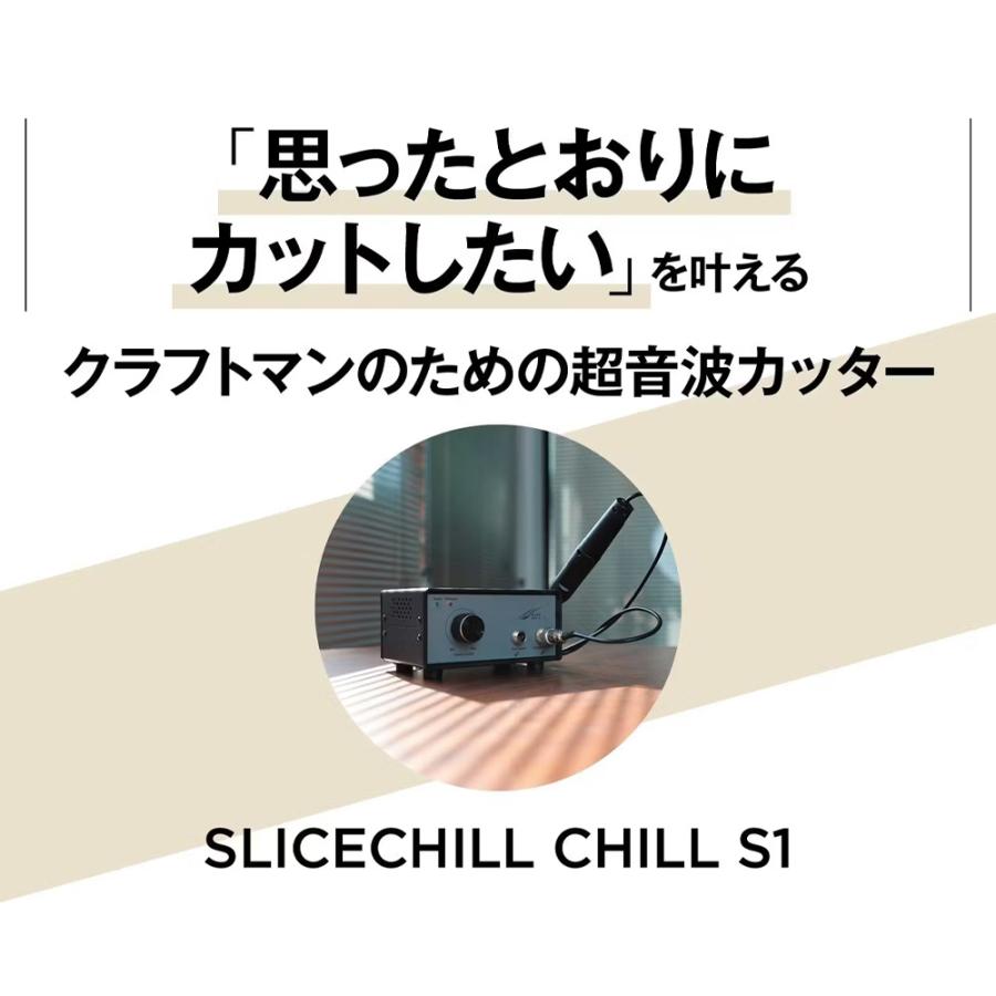 1snake 150mcg×5枚　ブロッター 1S 楽天市場】犬用 猫用 爪切り ペット用 簡単 おすすめ 使いやすい